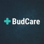 Logo BudCare - czyli niebieski plus i napis BudCare