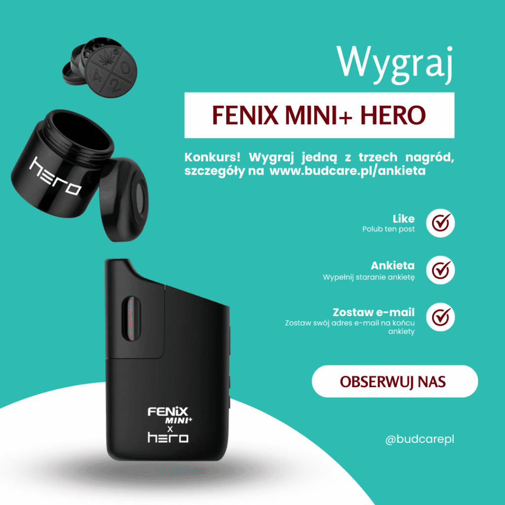 Ankieta 10 Konkurs fenix