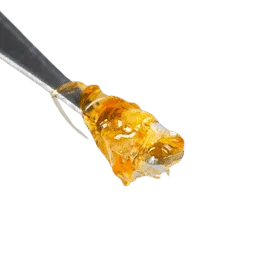 Żywica