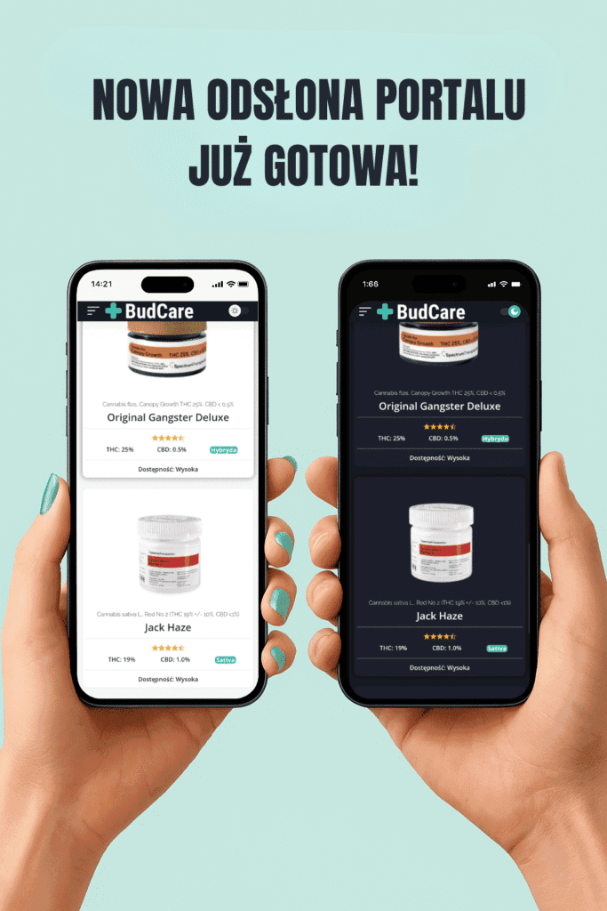 BudCare.pl – Nowa odsłona portalu już gotowa! 10 Tytul 6