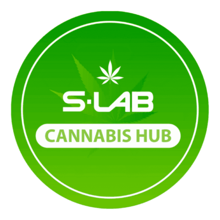 Logo S-Lab