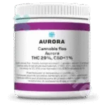 Aurora 29