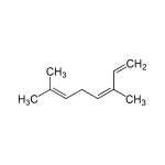 Ocymen