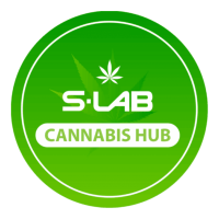 S-Lab Logo