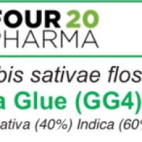 420 pharma gg4