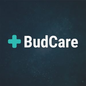 Logo BudCare - czyli niebieski plus i napis BudCare