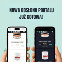 BudCare - Prezentacja Strony na smartphone